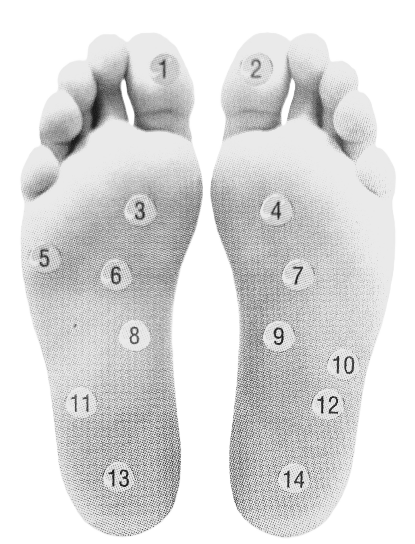 GAÏA Bien-être Kaki - NAZAREE