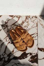 CARMEN Noisette - NAZAREE