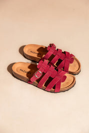 CARMEN Prune - NAZAREE